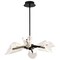 Nuvo Sedona, 28 Inch 6 Light LED Chandelier, Matte Black, Silk Screened Acrylic Lens 62/2281 - alternate 4